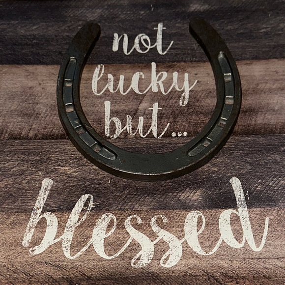 Kirklands Rustic Horseshoe Wall Art - Brown and Gray - Picture 6 of 6